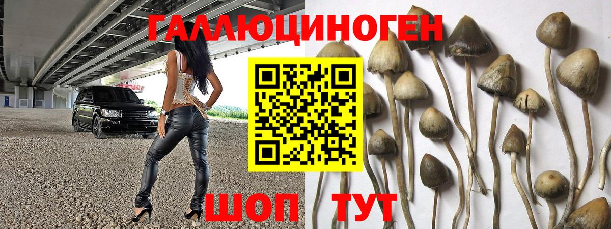 Псилоцибиновые грибы мицелий Бузулук