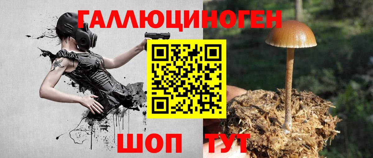 Галлюциногенные грибы ЛСД  Вход с VPN  Бузулук  Галлюциногенные грибы мухоморы 
